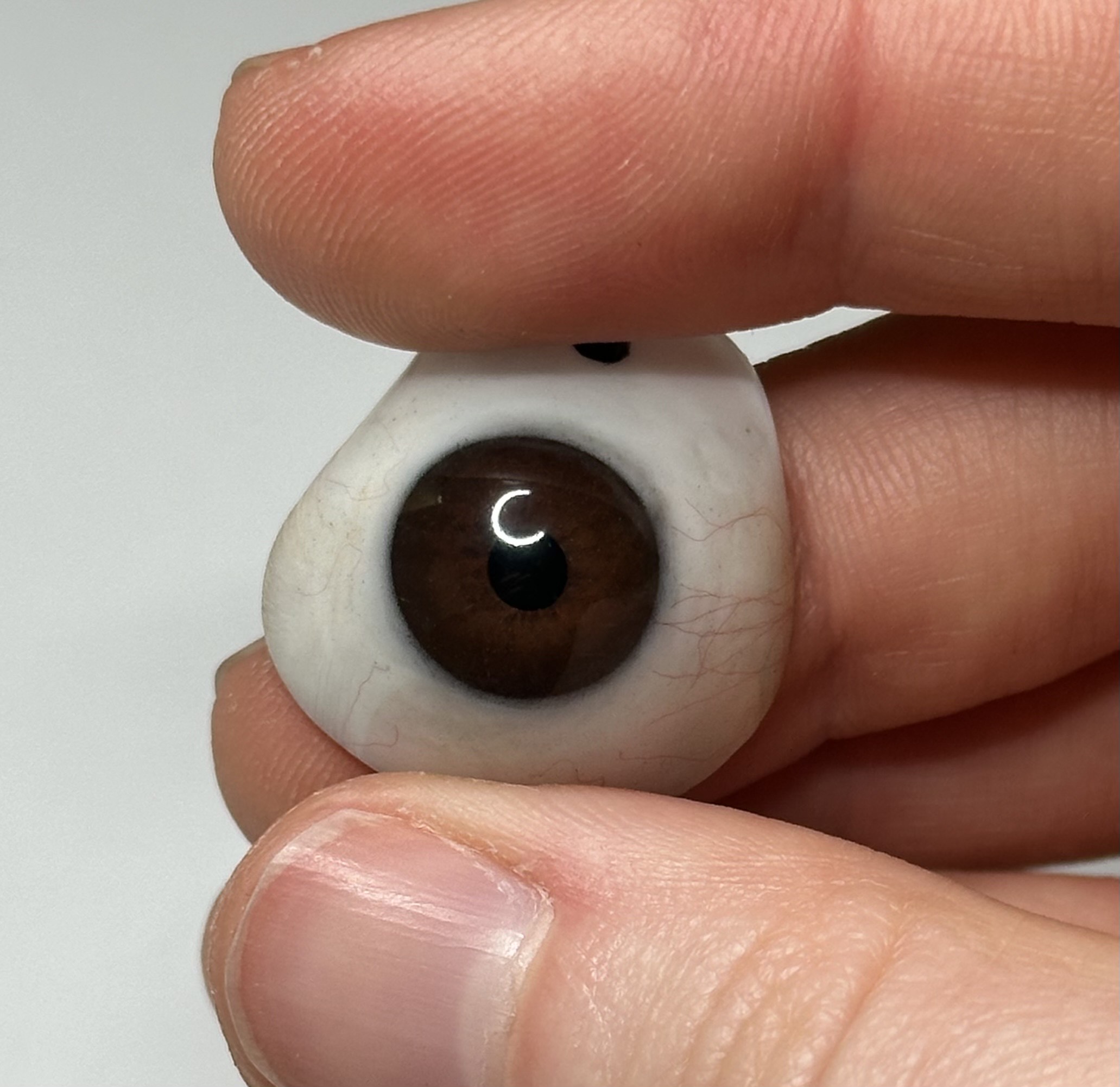 Sandhill Ocular Prosthetic